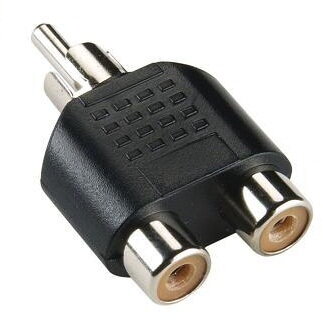 2RCA samica na RCA samec redukcia