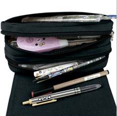 Školné puzdro Roblox