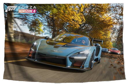 Látkový plakát / tapiséria Forza 153x60 cm 